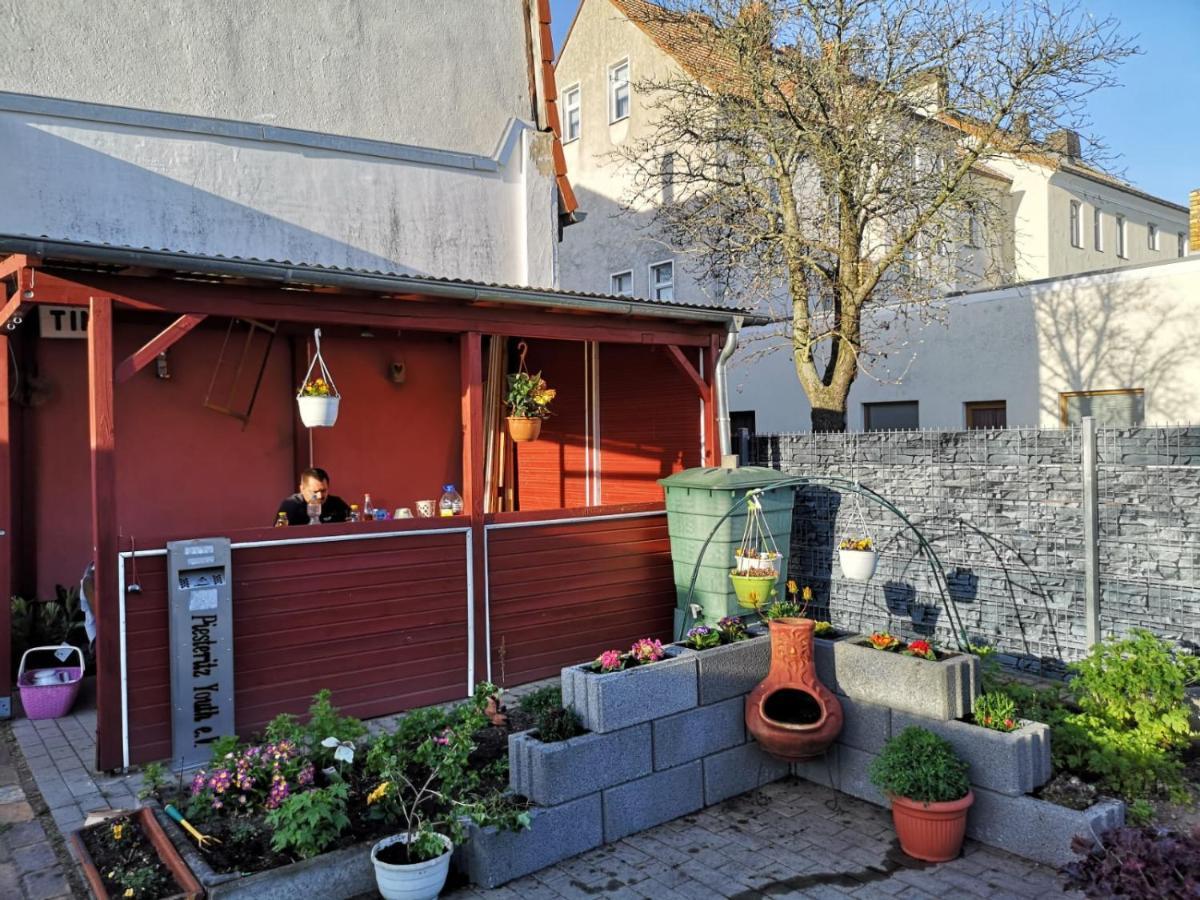Pension Zur Gartenstadt Wittenberg Exterior photo